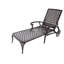 1 chaise longue en fonte d'aluminium, brun