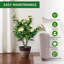 89.9cm Plant-1183563103