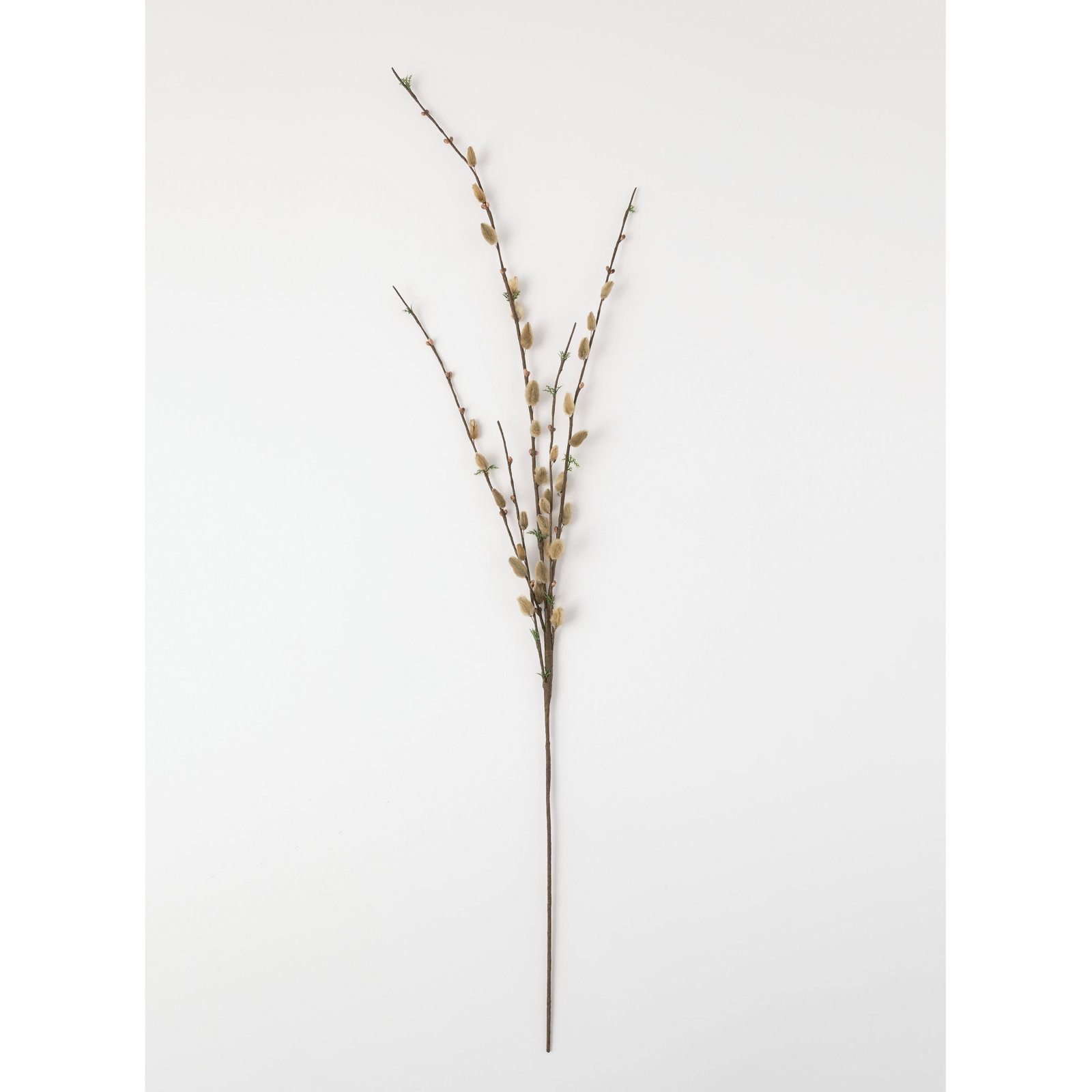 Willow Stems