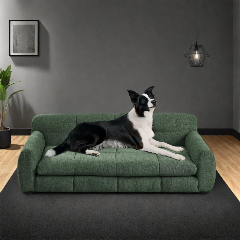 Canapé-lit surélevé pour chiens surdimensionnés, Vert