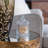 Ancell Lidded Glass Jar