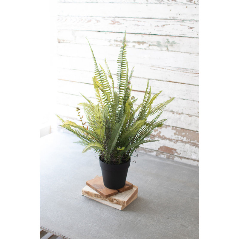 Faux Fern Plant
