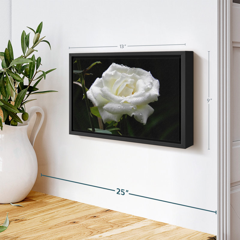 Impression sur toile Dewdrops On White Rose, H 9 po x l 13 po