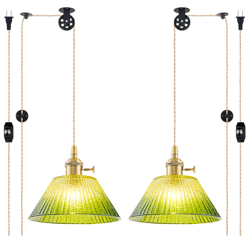 Plug in Vintage Pendant Light with Flower Glass 2 Pack