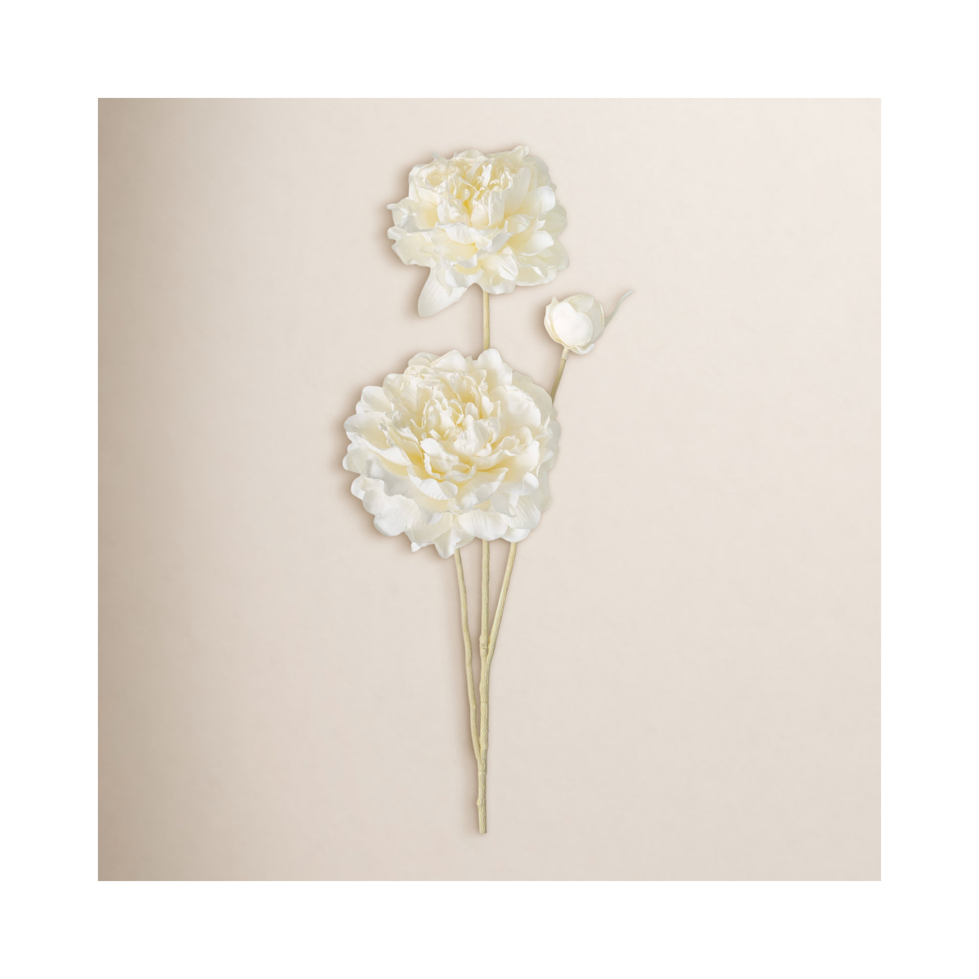 29.5" Artificial Peony Stem, Cream