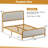 Dunkin Upholstered Metal Platform Bed-2144069452