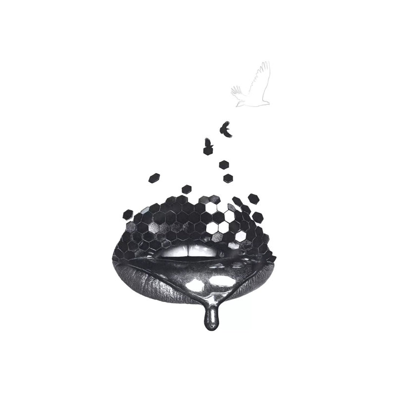 Free Nectar by Josiah Jones - Print on Canvas, Wrapped Canvas, 101.6 cm H x 66.04 cm W x 1.91 cm D