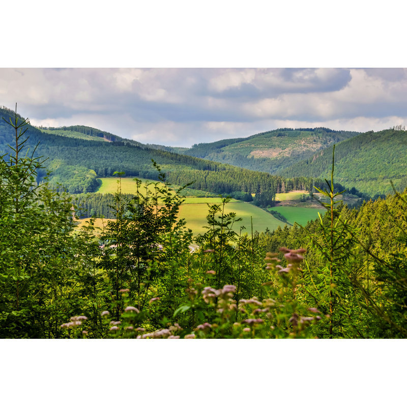 Sauerland, Allemagne - photographie sur toile tendue, H 8 po x l 12 po