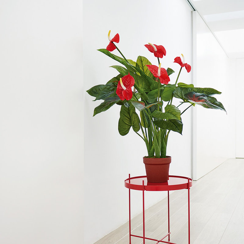 20cm Faux Flowering Plant in Pot