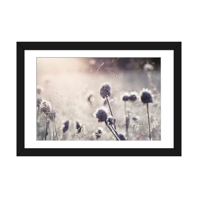 « frost i », impression sur toile, Papier beaux-arts encadré noir, H 24 po x l 32 po x P 1 po