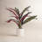 18.9'' Faux Calathea Plant in Ceramic Pot