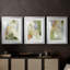 Verdure I - Impression personnalisée de qualité supérieure avec passe-partout - 3 pièces-249229272-249229287