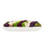 Orchidée Adelina et arrangement de plantes grasses-31174355