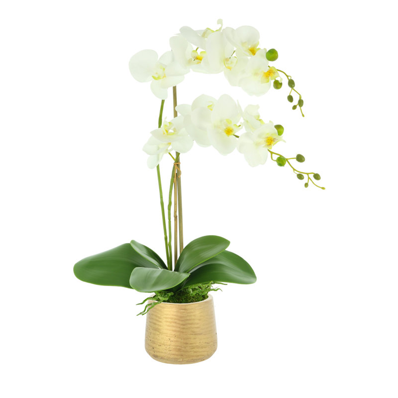 Orchid Arrangement in Fiberstone Vase