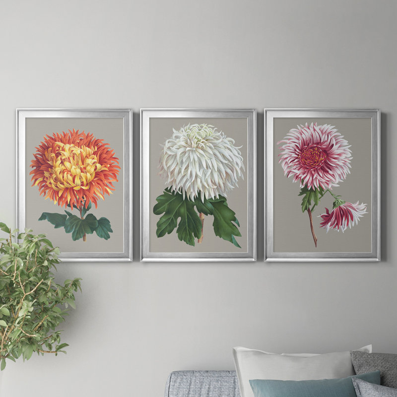 Chrysanthemum On Grey I - Ensemble de 3 peintures sur toile encadrées, H 30,5 po x l 127,5 po x P 4,5 po, Argent