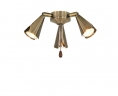 Spot Light 3 Light Ceiling Fan Light Kit