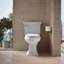 Cachet Nightlight Quiet-Close with Grip-Tight Round Toilet Seat-387219902-316843022