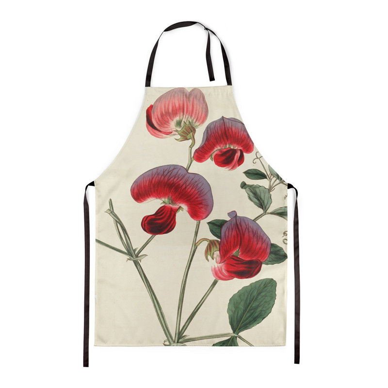 Perennial Sweetpea - Botanical Aprons