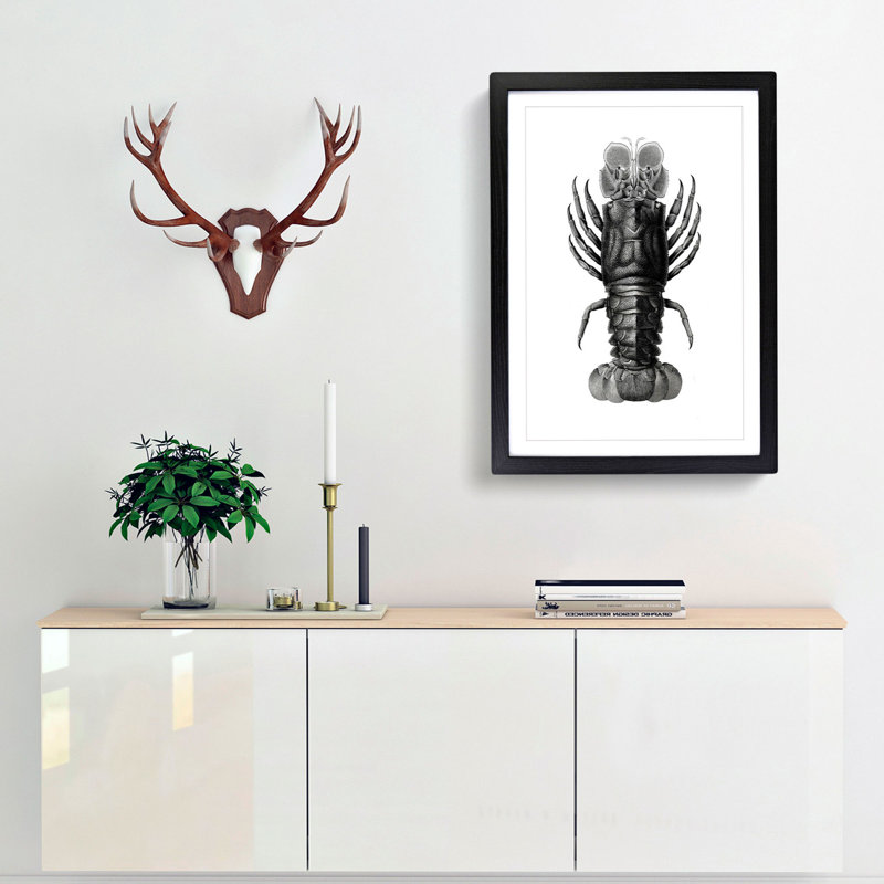 Lobster Illustrations by E.F. Jomard - Picture Frame Graphic Art Print, 76cm H x 50cm W x 2cm D, Black