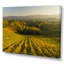 Vineyard Sunset Landscape - Décoration murale traditionnelle sur toile-1955656245-1955656253