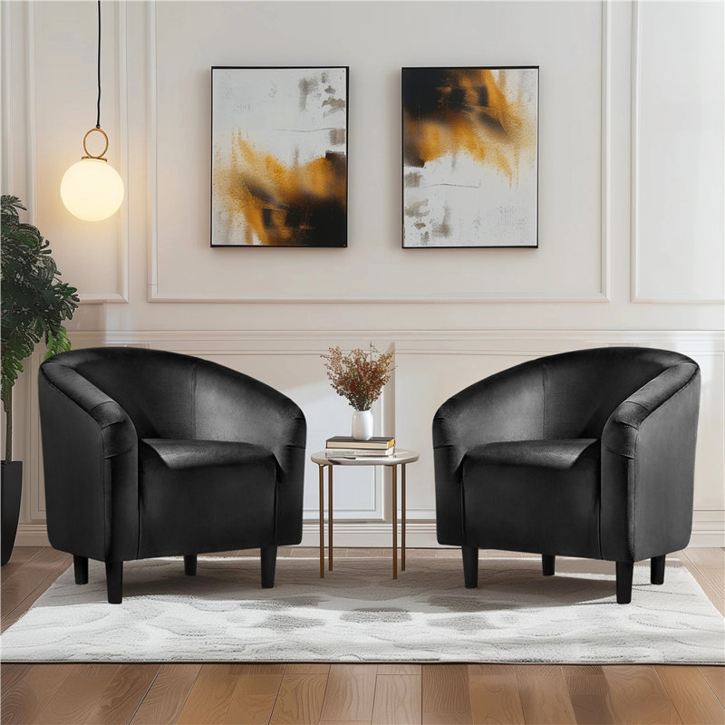 Robeson 28" Wide Velvet Barrel Chair, Black Velvet
