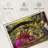 Ravi Azalea Flower Garden-107678502