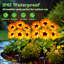 Yellow,Green Solar Powered Pathway Light Kit
