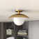 Robin Glass Semi Flush Mount