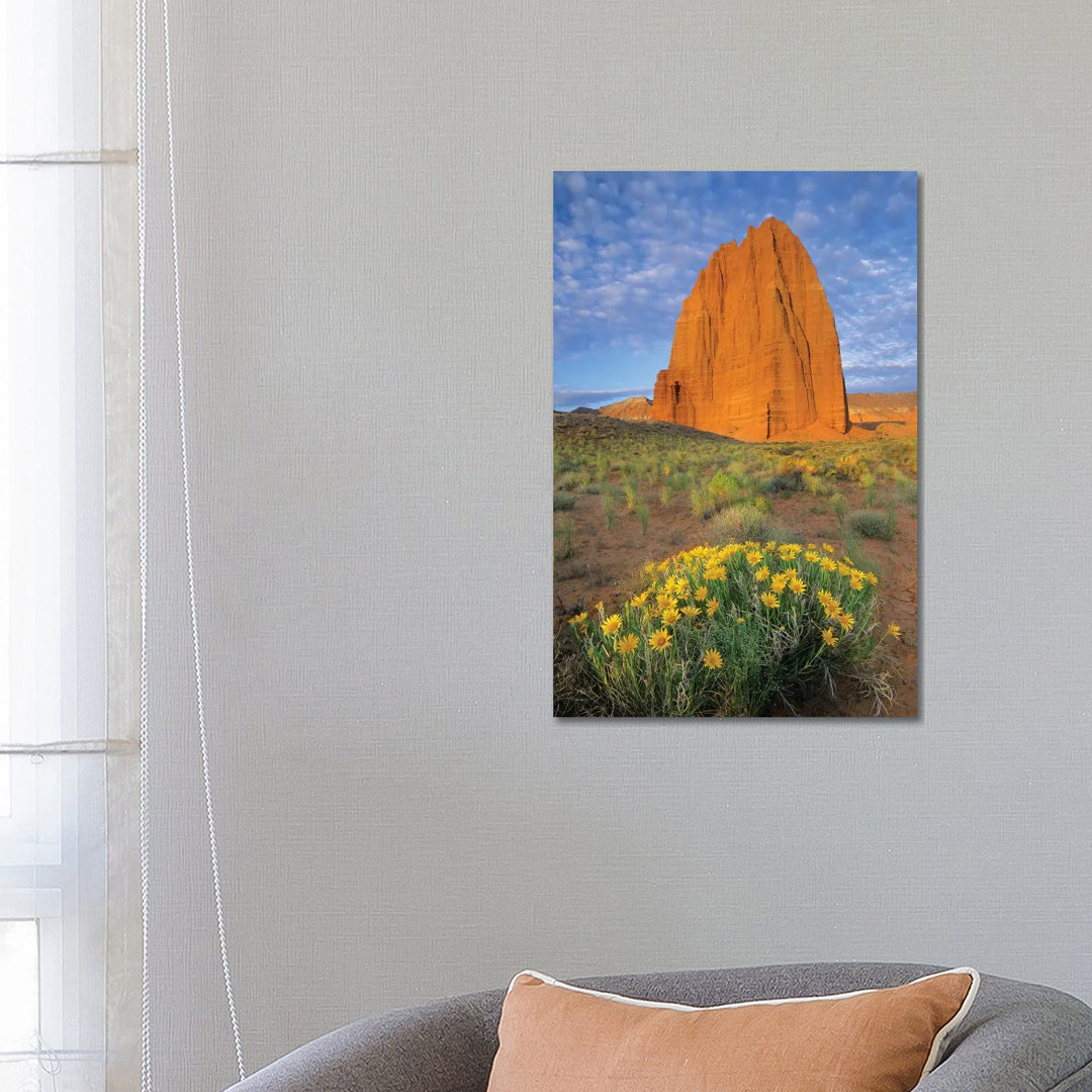 Common Sunflower Cluster And Temple Of The Sun, Capitol Reef National Park, Utah I von Tim Fitzharris - Gallery-Wrapped ...