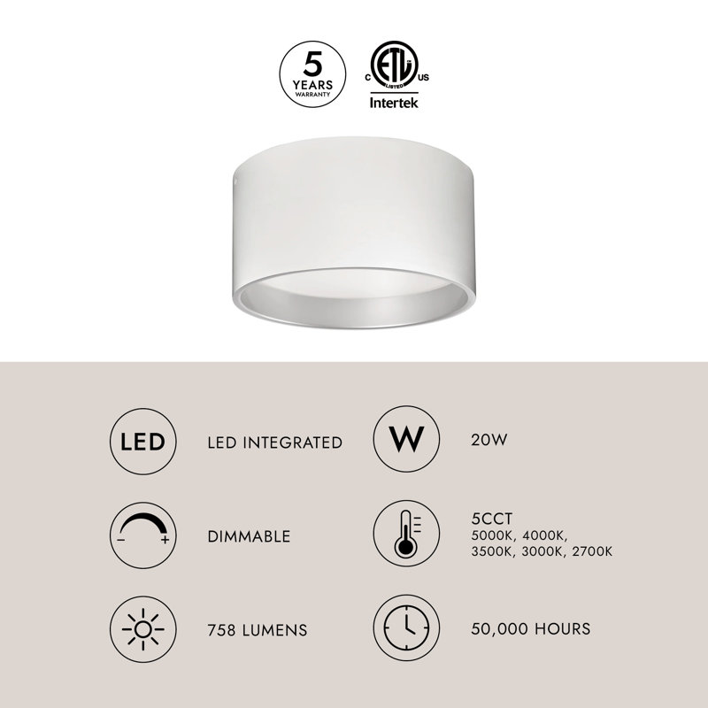 Mousinni 1 - Light LED Flush Mount, White, White