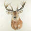 «Front Deer Portrait» - décor de toile encadrée rustique
