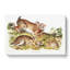 Grey Rabbits by J.W. Audubon - Wrapped Canvas-55313509