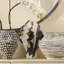 Agatha Ceramic Vase, Black and White