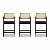 Modern Resin Webbing Back Bar Stool Set, Ergonomic and Stylish for Any Space