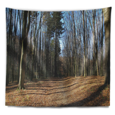 Tapisserie forêt automne dans la lumières du soleil et des ombres