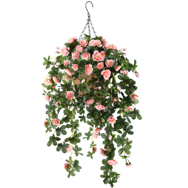 Primrue Petunia Hanging Basket Arrangement In Basket 