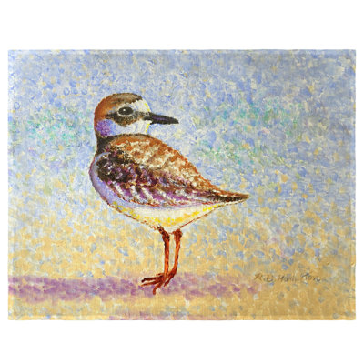 Ensemble de 4 napperons Wilson's Plover