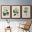 Antique Turpin Botanical IV - Ensemble de 3 reproductions d'art sur toile-2038202528-2038202532