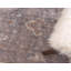 Tapis oriental gris Passyunk-1745693526