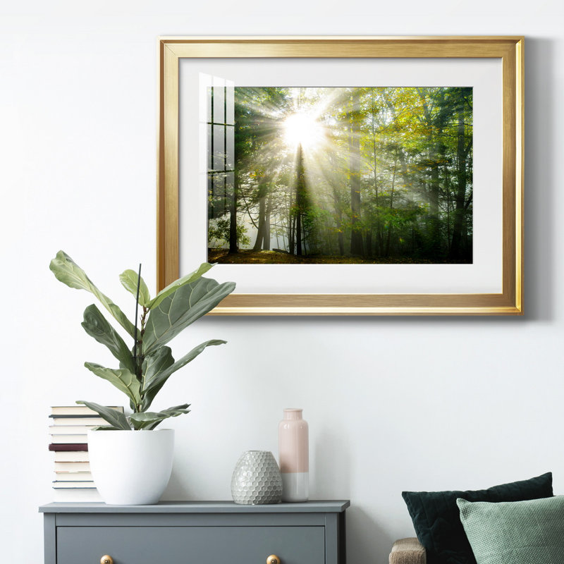 Light and Trees II - Photographie avec cadre, Cadre doré, H 30,5 po x l 42,5 po x P 1,5 po
