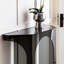 Console Smoky-220255249