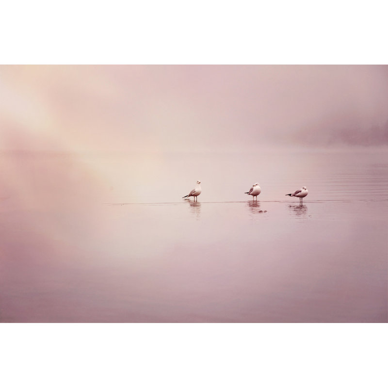 Wrapped Canvas Print, 101 cm H x 152 cm W x 3.81 cm D