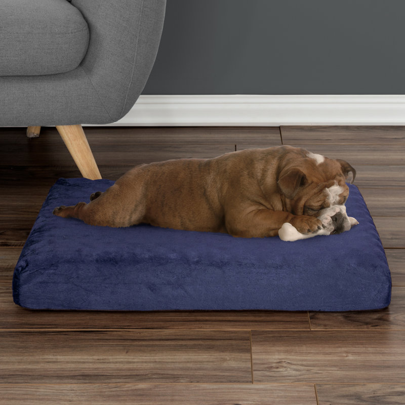 Lit pour chien orthopédique à 2 couches PETMAker, Bleu marine, Petit (l 19 po x P 26 po x H 4 po)