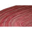 Flatweave Area Rug in Red
