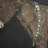 " Burro Noche " by Paul Meyer-101534134
