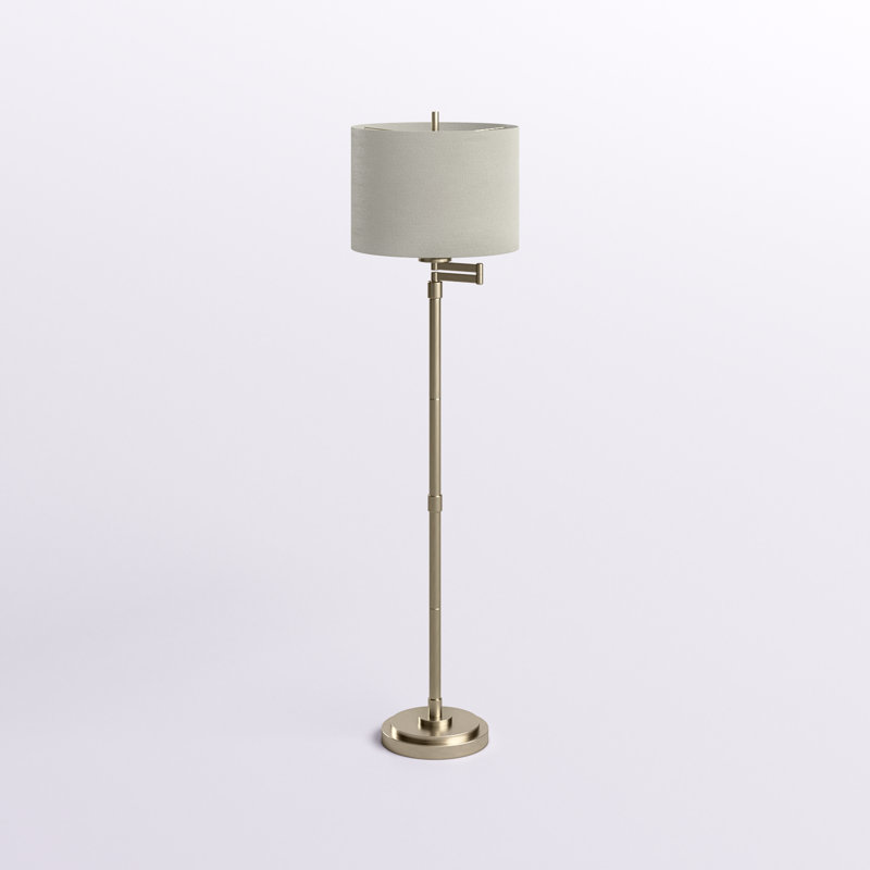 Anuksha 62'' Swing Arm Floor Lamp, Brushed Steel