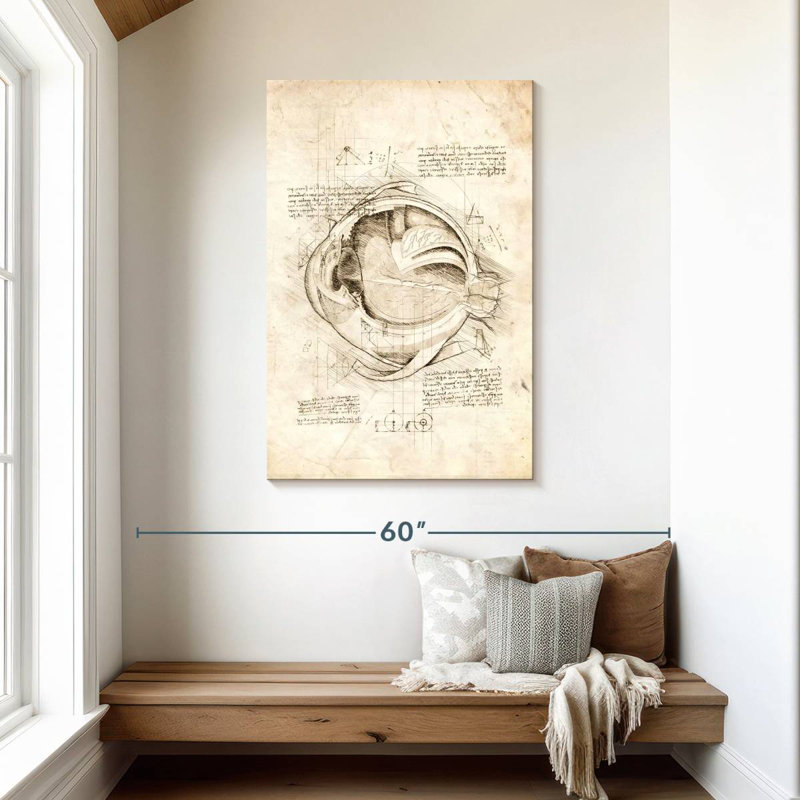Keiri Human Eye Anatomy, 45" H x 30" W