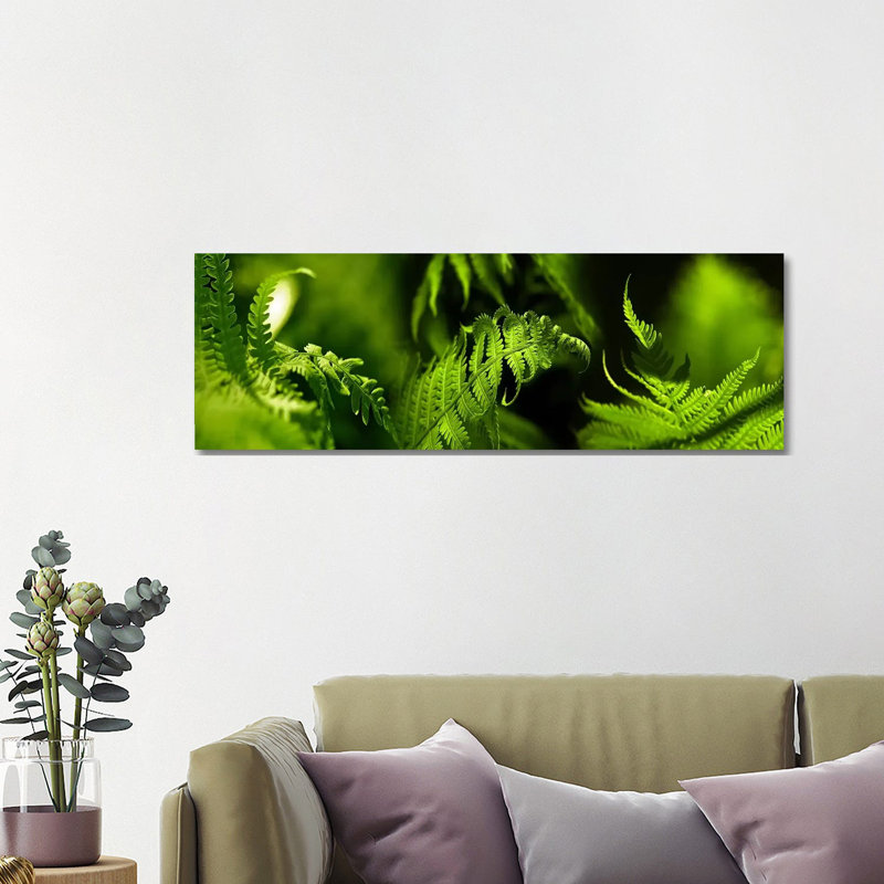 Fern - Wrapped Canvas Panoramic Print, 121.92 cm H x 40.64 cm W x 1.91 cm D