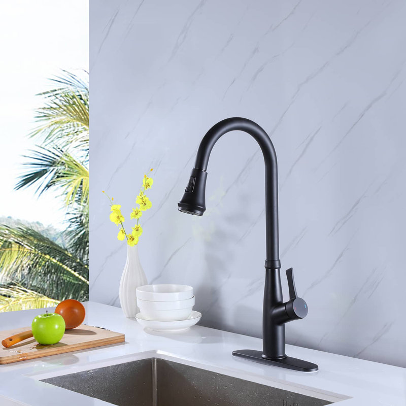 Robinet de cuisine avec douchette extractible et robinets d'évier de cuisine à une poignée, Noir mat