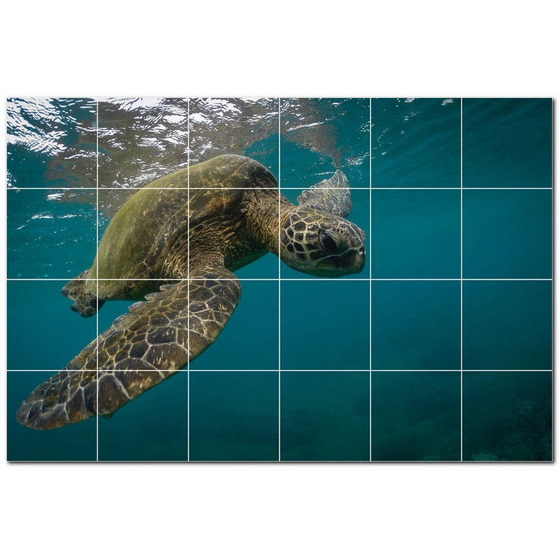 Tortue photo 4,25 x 4,25